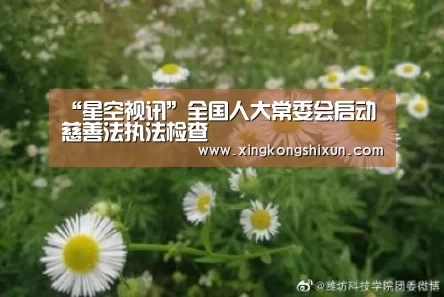 “星空视讯”全国人大常委会启动慈善法执法检查(图3) 星空视讯