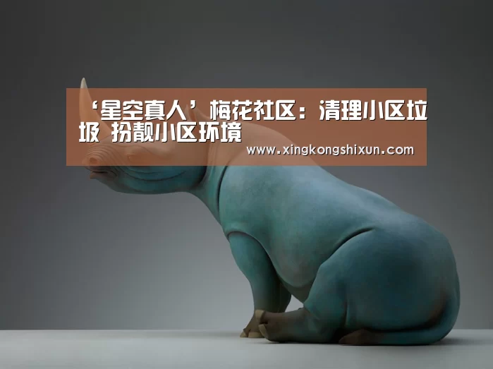 星空娱乐