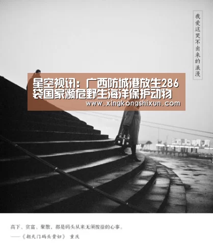 星空真人