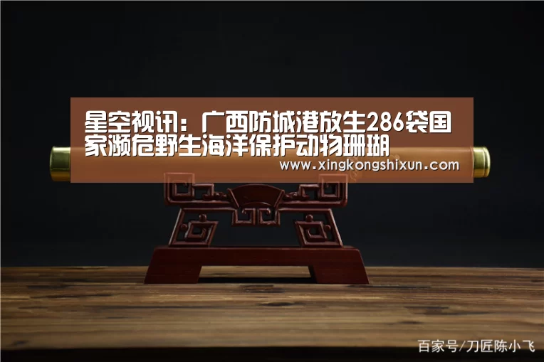 星空娱乐