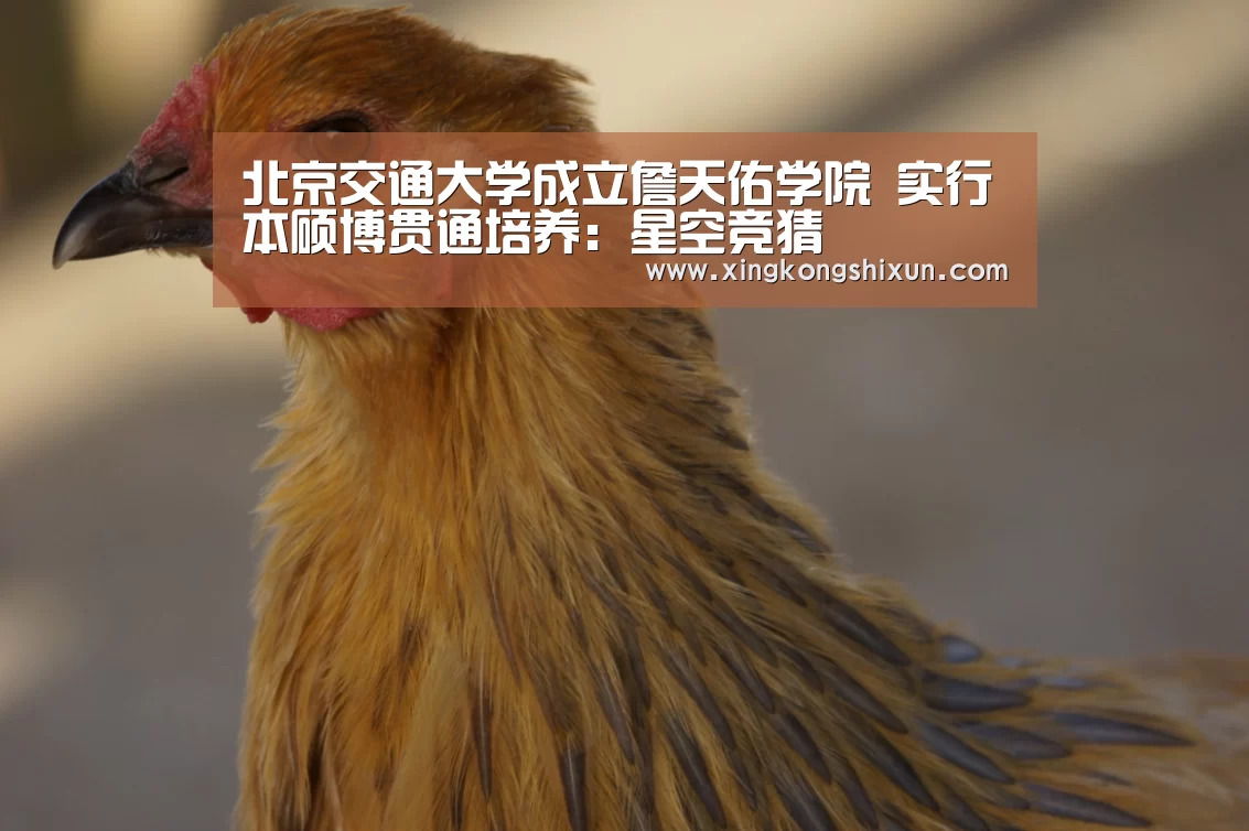 北京交通大学成立詹天佑学院 实行本硕博贯通培养:星空竞猜(图2) 星空视讯