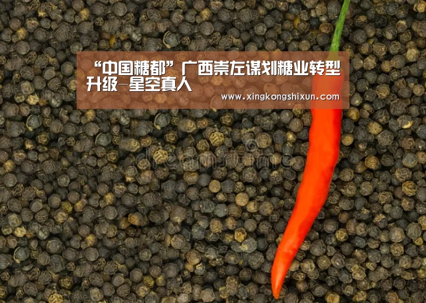 “中国糖都”广西崇左谋划糖业转型升级-星空真人(图2) 星空真人