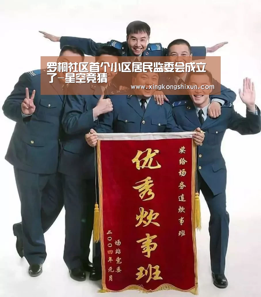 罗桐社区首个小区居民监委会成立了-星空竞猜(图2) 星空竞猜
