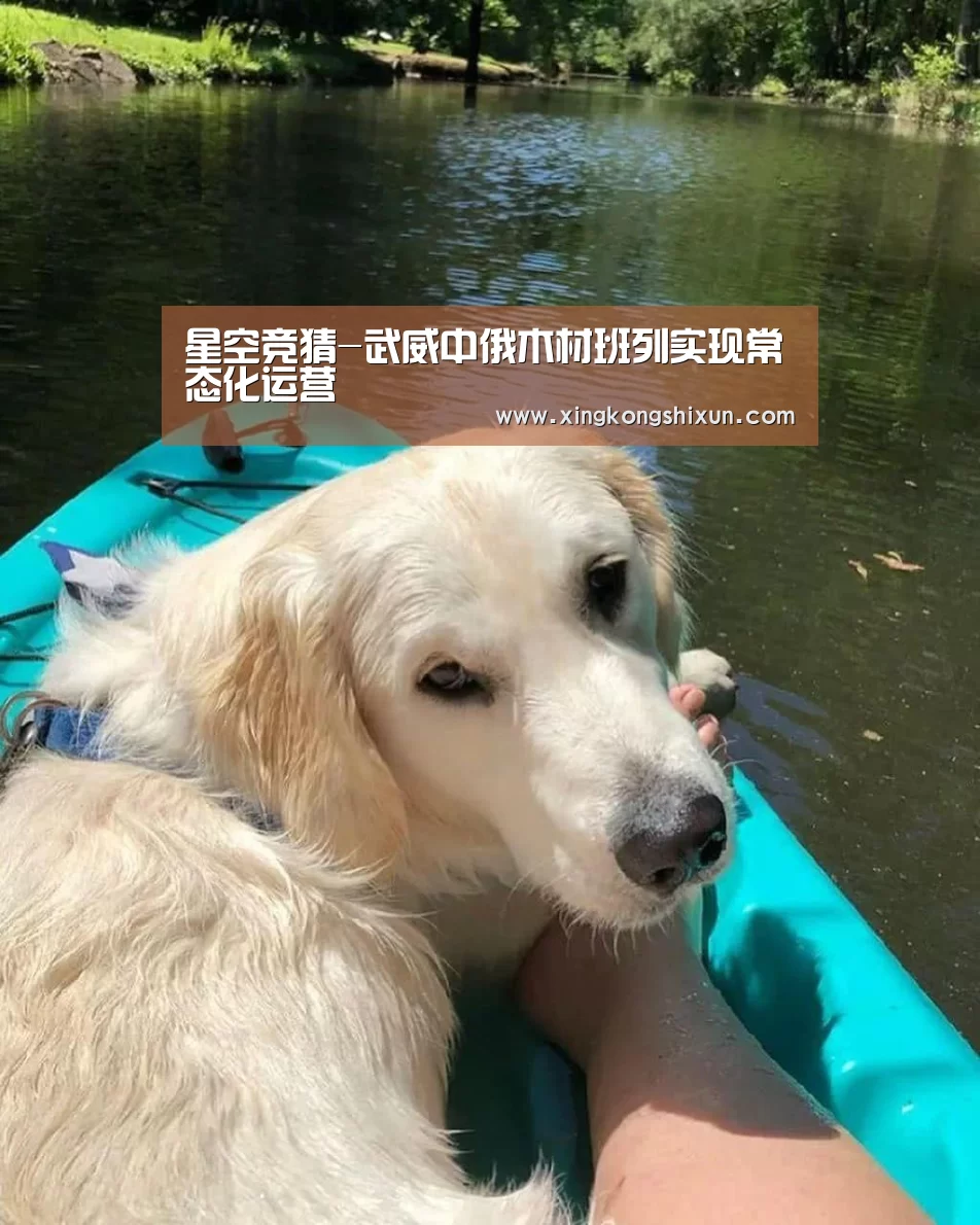 星空竞猜-武威中俄木材班列实现常态化运营(图1) 星空真人