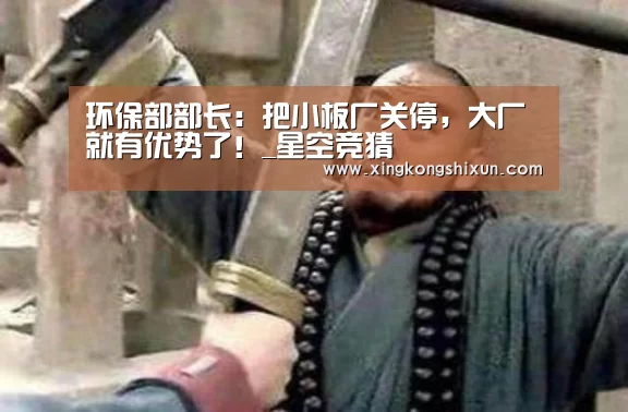 环保部部长:把小板厂关停,大厂就有优势了!_星空竞猜(图3) 星空真人