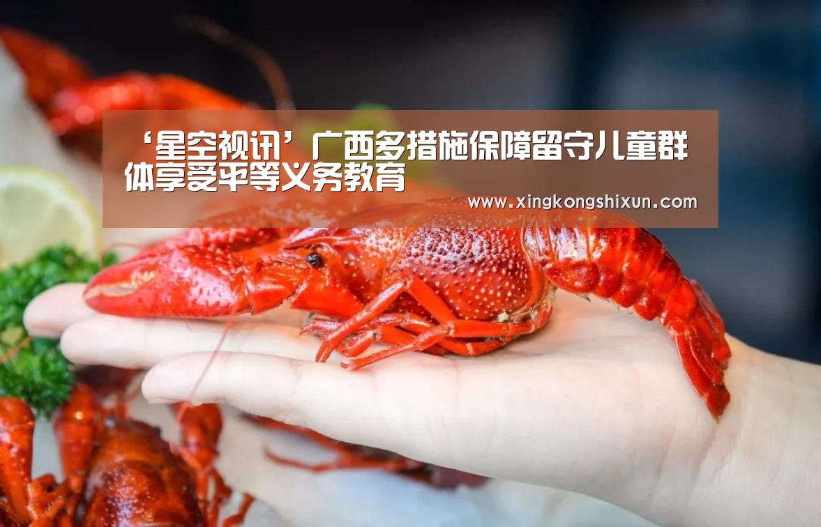 ‘星空视讯’广西多措施保障留守儿童群体享受平等义务教育(图1) 星空娱乐