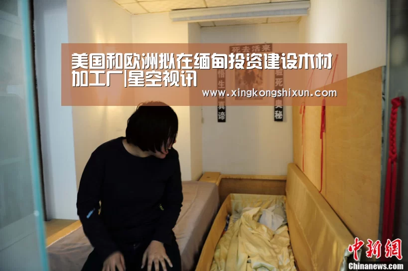 美国和欧洲拟在缅甸投资建设木材加工厂|星空视讯(图3) 星空娱乐