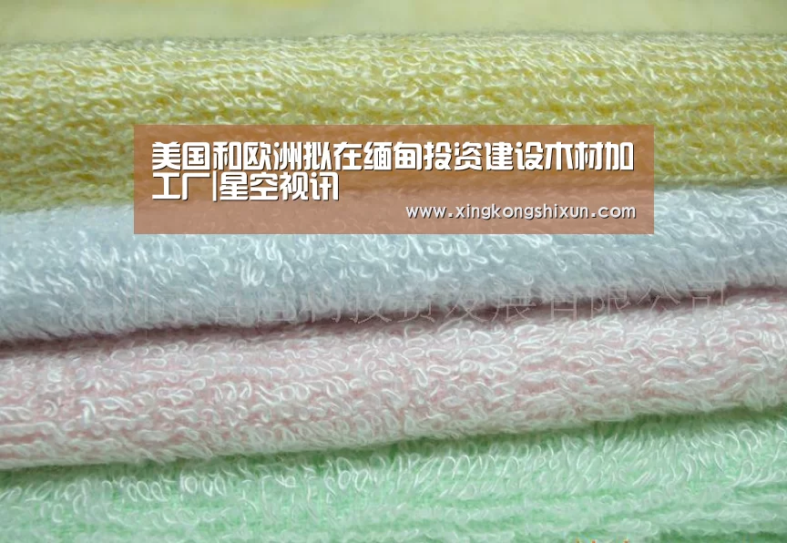 美国和欧洲拟在缅甸投资建设木材加工厂|星空视讯(图4) 星空娱乐